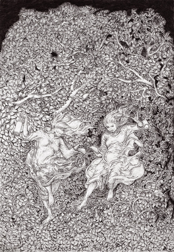 Двойственность