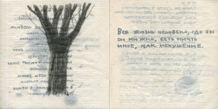 Книга «Естественный ход вещей» 2013