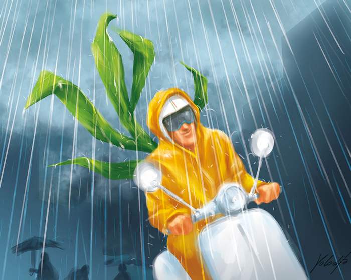 ¦  ¦ ¦ дождь ¦