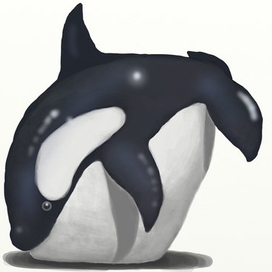 касатка-кругляш