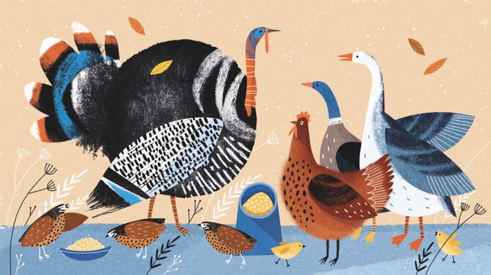 Птичий базар