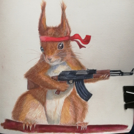 Белка из сна