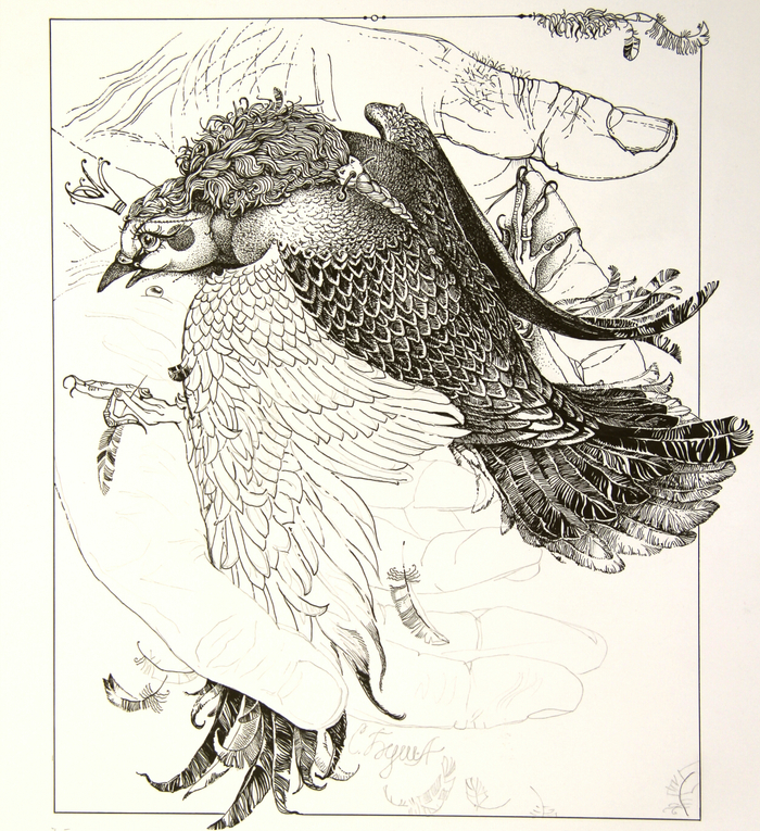 раненая Горлица