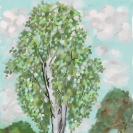 Береза и вид на озеро 