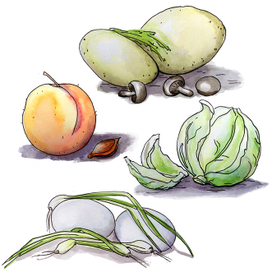 Начинки для прожков