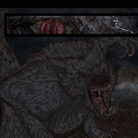 Эйнар Селвик