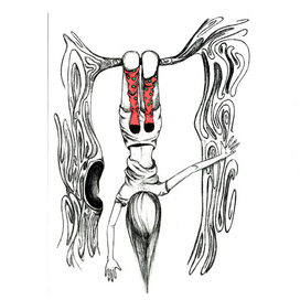 Мир с другого ракурса