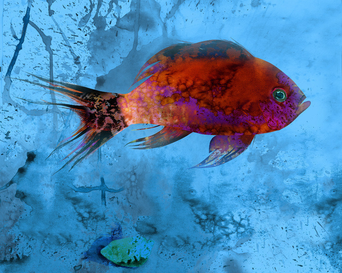 (без названия)