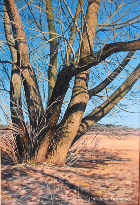 Пробуждение