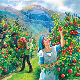 разворот буклета о саде