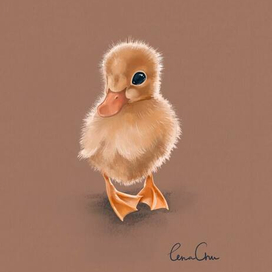 Tiny duckling