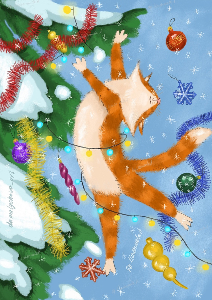 Летающий котик