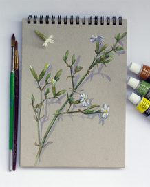 Лесной цветок