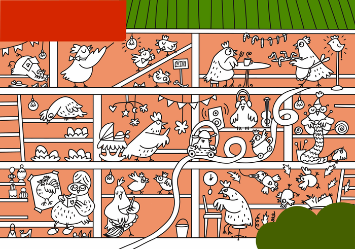 Куриные будни