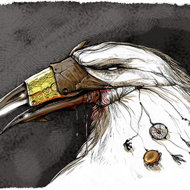 Белый ворон