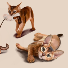 Иллюстрация Котики