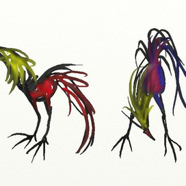 бойцовый петух