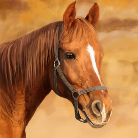 Рабочая лошадка