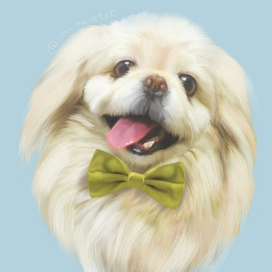 ПОРТРЕТ ПИТОМЦА 