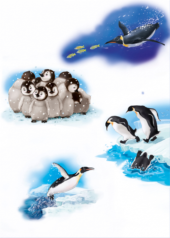 Жизненный цикл