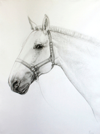 Анималистический портрет