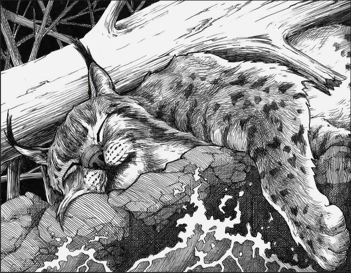 Придавило...