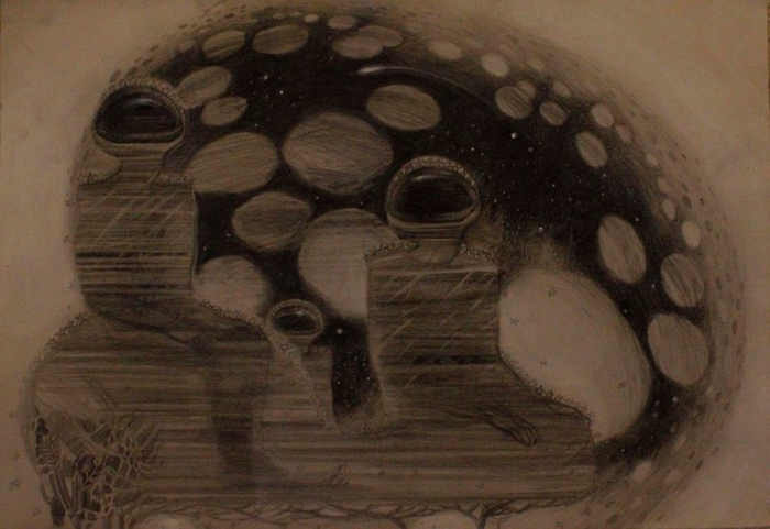 наблюдатели метеоритов