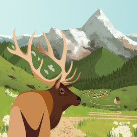 хранитель долины дивных лесов