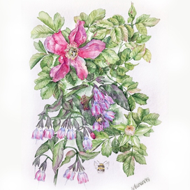 Майская ботаника