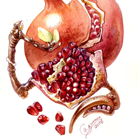 Гранатовая композиция