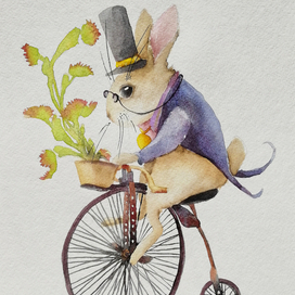 Кролик на велосипеде