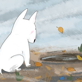 Осенняя медитация