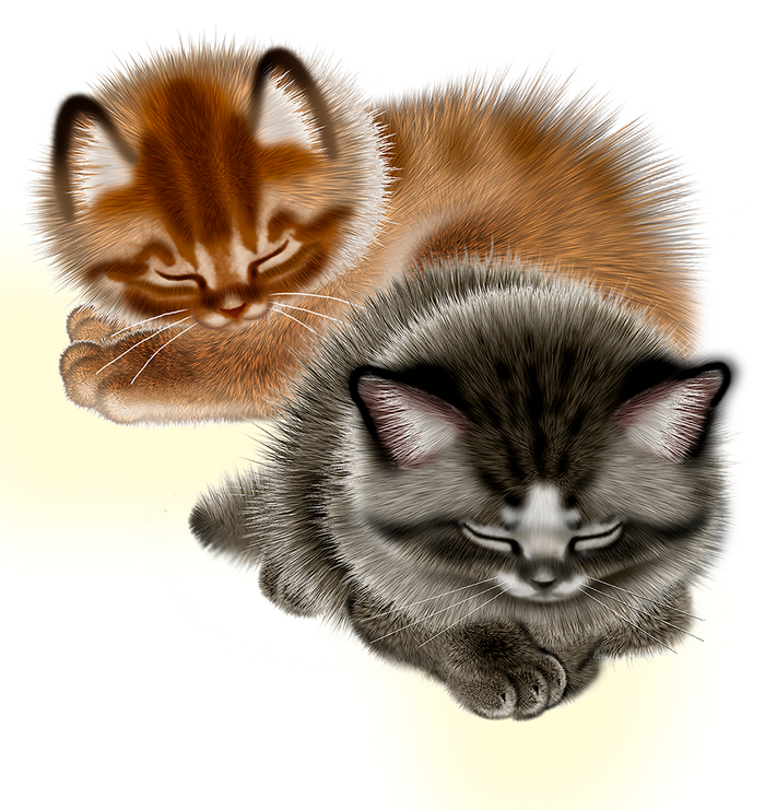 "Кошки крошки"