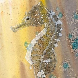 Морской конек.