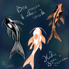 Пруд с карпами кои