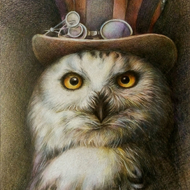 Мистер Сова