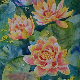 Водяные лилии