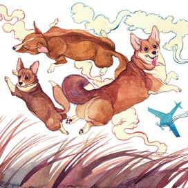 Летающие корги