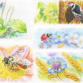 Коллаж из иллюстраций