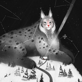 Созвездие Рысь