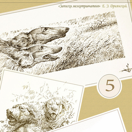 "Записки мелкотравчатого".  Е.Э. Дриянский. Глава 5.