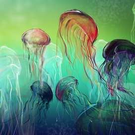 positive jellyfish