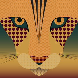 Дикая кошка