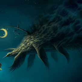 Здравствуй, моя Ночь