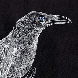 Белая ворона.