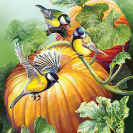 Кто первый ?