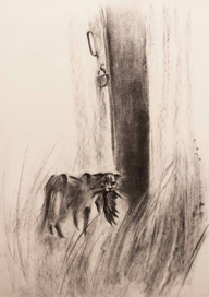 Саша (уголь) 2