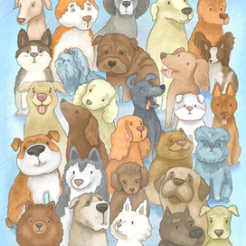 Шмуцтитул книги для фонда «Зоозащита» #1