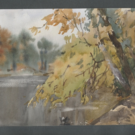 Сокольники ,озеро