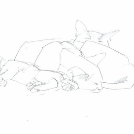 набросок с натуры